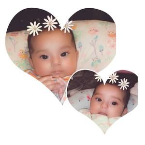 Meet your Posher, Ivis